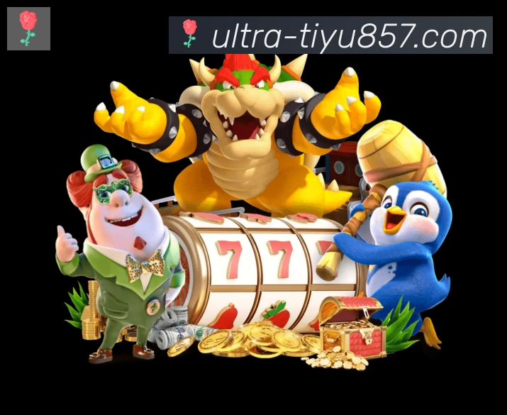 奖项证书
